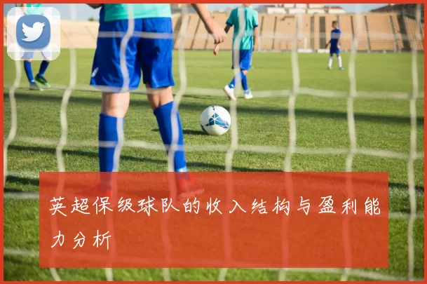 英超保级球队的收入结构与盈利能力分析