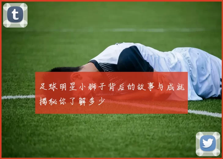 足球明星小狮子背后的故事与成就揭秘你了解多少