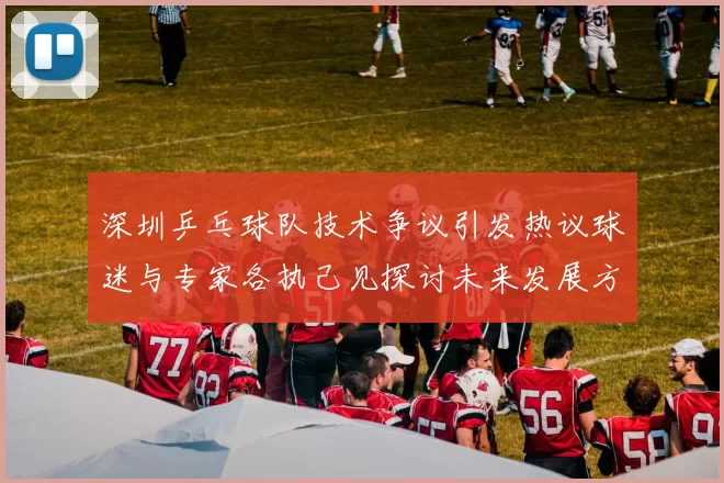 深圳乒乓球队技术争议引发热议球迷与专家各执己见探讨未来发展方向