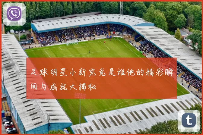 足球明星小新究竟是谁他的精彩瞬间与成就大揭秘