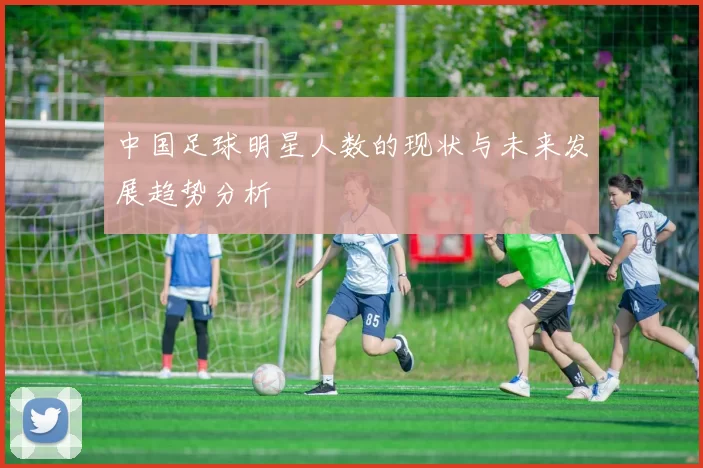 中国足球明星人数的现状与未来发展趋势分析