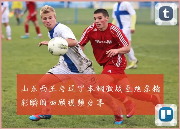 山东西王与辽宁本钢激战至绝杀精彩瞬间回顾视频分享