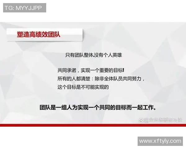 以教练为核心，构建高效团队：如何发挥教练引导作用提升团队绩效与凝聚力