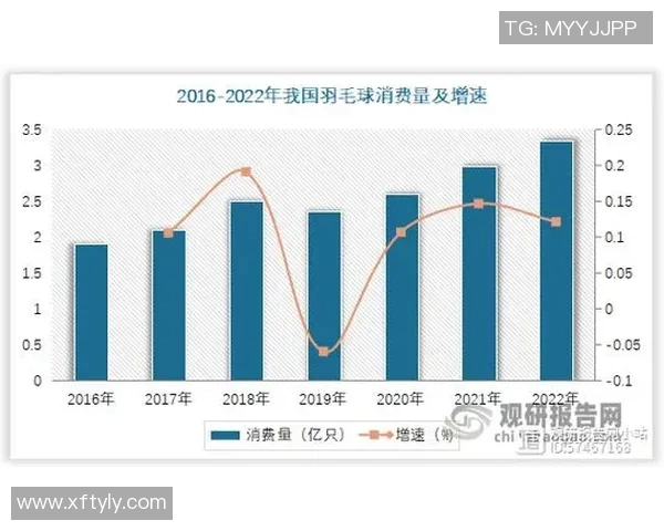 深圳羽毛球队实力对比深度解析与未来发展展望