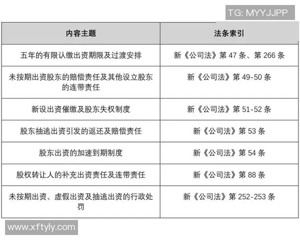 从零起步掌握网球战术的全面指南与实战技巧分享